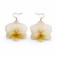 Aretes Perla - Orquídea preservada
