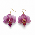 Aretes Iris - Orquídea preservada
