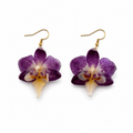 Aretes Leyla - Orquídea preservada