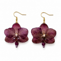 Aretes Sole - Orquídea preservada