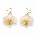 Aretes Marfil - Orquídea preservada