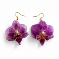 Aretes Malva - Orquídea preservada